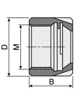 ER Mini Nut Dimensions ER Mini Nut Dimensions