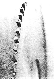 Face Bevel Style Saw Blade