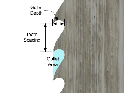 gullet-area.jpg gullet-area.jpg