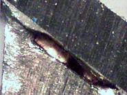 pretinning-7.jpg pretinning-7.jpg